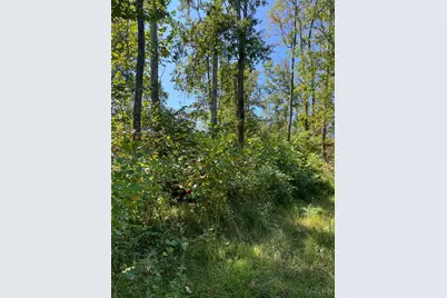 44892 Minerton Road, Wilkesville Twp, OH 45686 - Photo 80