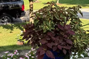 5695 Jessup Rd, Green Township, OH 45247 - Photo 36