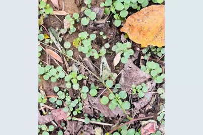 111 W Everton Road, Connersville, IN 47331 - Photo 60