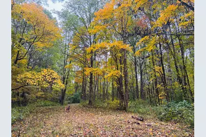 111 W Everton Road, Connersville, IN 47331 - Photo 58