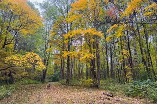 111 W Everton Rd, Connersville, IN 47331 - Photo 58