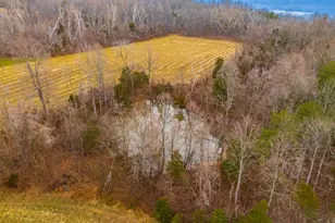 3064 Tater Ridge Rd, West Union, OH 45693 - Photo 40