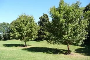 3594 Chestnut Park Ln, Miami Township, OH 45002 - Photo 24