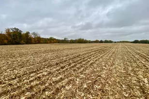 11 Steele Rd, Washington Township, OH 45177 - Photo 1