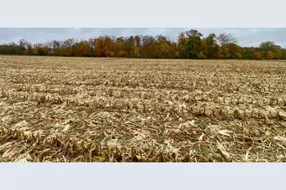 11 Steele Road, Washington Township, OH 45177 - Photo 8