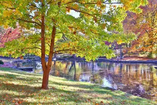 1650 Colonial Dr, Green Township, OH 45238 - Photo 48