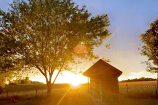 7925 St Rt 41, West Union, OH 45693 - Photo 32