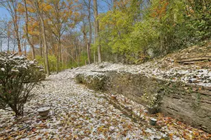 3736 Dogwood Ln, Cincinnati, OH 45213 - Photo 46