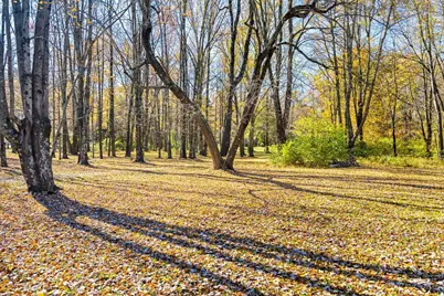 13523 Lake Grant Road, Pike Township, OH 45154 - Photo 36