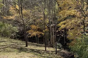 3807 Lucy Run Cemetery Rd, Batavia Township, OH 45103 - Photo 8