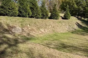 3807 Lucy Run Cemetery Rd, Batavia Township, OH 45103 - Photo 6