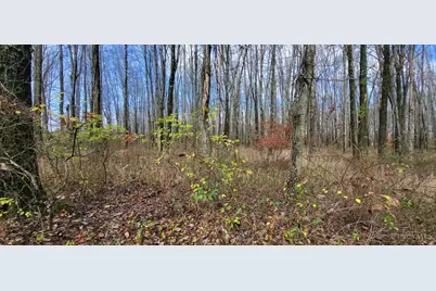 1670 Woodville Pike, Goshen, OH 45140 - Photo 4