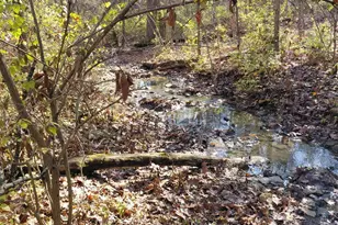 4014 S State Line Rd, Morgan Township, OH 45053 - Photo 66