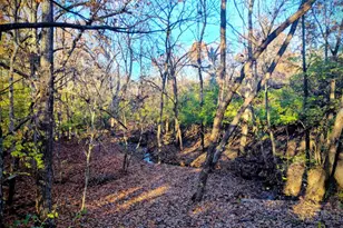 6434 S Snowmass Dr, Liberty Township, OH 45011 - Photo 14