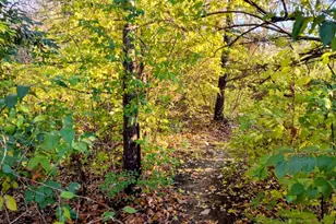 6434 S Snowmass Dr, Liberty Township, OH 45011 - Photo 6