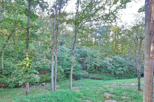 8984 Terwilligersridge Dr, Symmes Township, OH 45249 - Photo 60