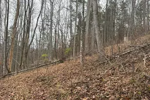 4702 Brush Creek Rd, Manchester, OH 45144 - Photo 48