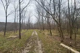 4702 Brush Creek Rd, Manchester, OH 45144 - Photo 38