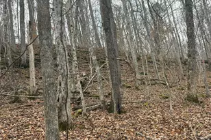 4702 Brush Creek Rd, Manchester, OH 45144 - Photo 44