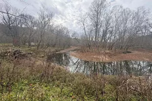 4702 Brush Creek Rd, Manchester, OH 45144 - Photo 40