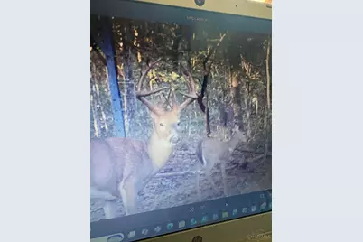 4702 Brush Creek Rd, Manchester, OH 45144 - Photo 50