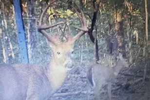 4702 Brush Creek Rd, Manchester, OH 45144 - Photo 50