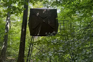 4702 Brush Creek Rd, Manchester, OH 45144 - Photo 50