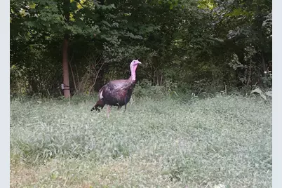 1333 Cross Creek Drive, Goshen, OH 45140 - Photo 48