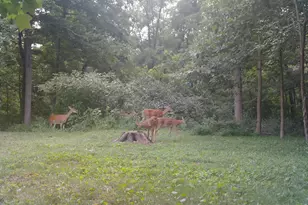 1333 Cross Creek Dr, Goshen, OH 45140 - Photo 54