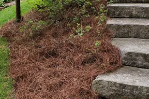 7922 Barharbor Dr, Anderson Township, OH 45255 - Photo 62