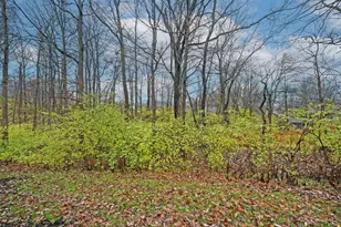 8119 Witts Meadow Ln, Anderson Township, OH 45255 - Photo 46