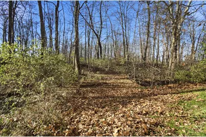 2457 Martinsville Road, Clark Township, OH 45146 - Photo 66