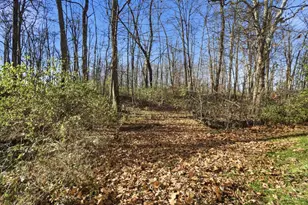 2457 Martinsville Rd, Clark Township, OH 45146 - Photo 66