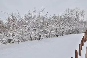 3749 Wilson Farms Blvd, Franklin Township, OH 45005 - Photo 40