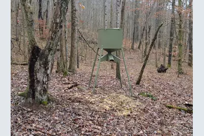 135 Union Hill Road, Franklin Twp, OH 45660 - Photo 28