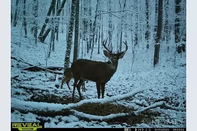 135 Union Hill Road, Franklin Twp, OH 45660 - Photo 42