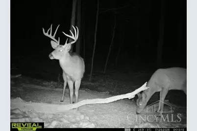 135 Union Hill Road, Franklin Twp, OH 45660 - Photo 46