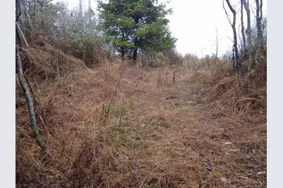 135 Union Hill Road, Franklin Twp, OH 45660 - Photo 16