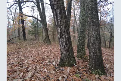 135 Union Hill Road, Franklin Twp, OH 45660 - Photo 18