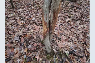 135 Union Hill Road, Franklin Twp, OH 45660 - Photo 36