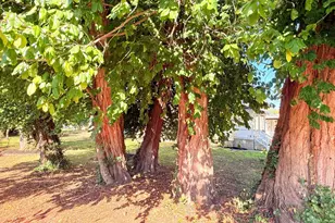 401 W Porter St, Cleves, OH 45002 - Photo 10