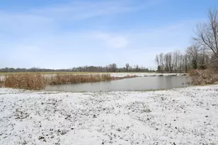 7954 Yockey Rd, Franklin Township, OH 45121 - Photo 40