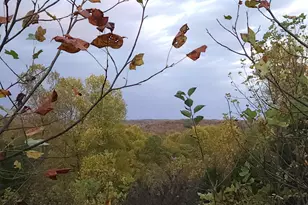 4790 Jester Hill Rd, Paxton Twp, OH 45612 - Photo 42