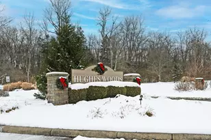 6681 Tree View Dr, Liberty Township, OH 45044 - Photo 44