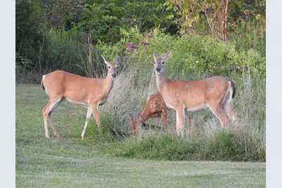 2314 White Oak Road, Blue Creek, OH 45616 - Photo 34