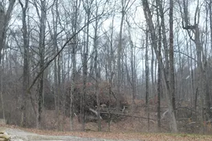 10569 Colerain Rd, Colerain Township, OH 45252 - Photo 32