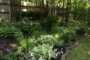 6503 Niderdale Way, Madison Township, OH 45042 - Photo 70