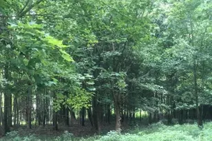 424 Mt Zion Rd, Seaman, OH 45679 - Photo 48