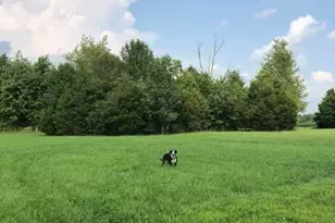 424 Mt Zion Rd, Seaman, OH 45679 - Photo 60