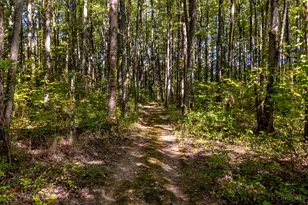 1770 Sunny Acres Ln, Ohio Township, OH 45102 - Photo 56